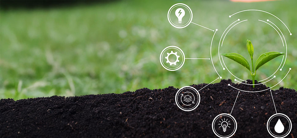 Conceito de agricultura inteligente e agricultura de precisão com muda de planta e ícones de tecnologia no solo