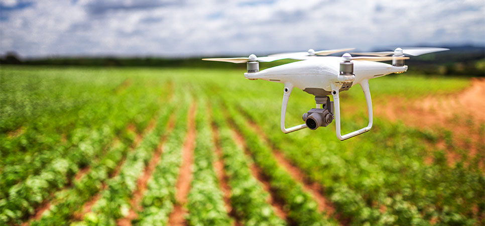 Uso de drone na agricultura para monitoramento de lavouras e análise de produtividade