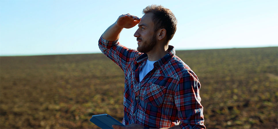 Análise de safras anteriores com comparação de custos por hectare e definição de metas para gestão agrícola eficiente
