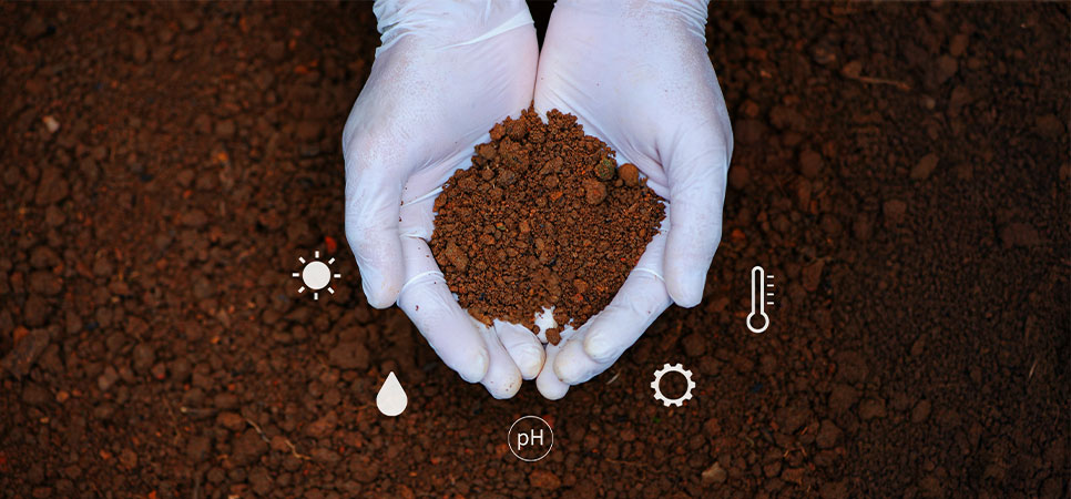 Análise de solo na fazenda