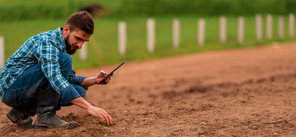 Sistema de gestão rural SSCrop integrado à análise de solo