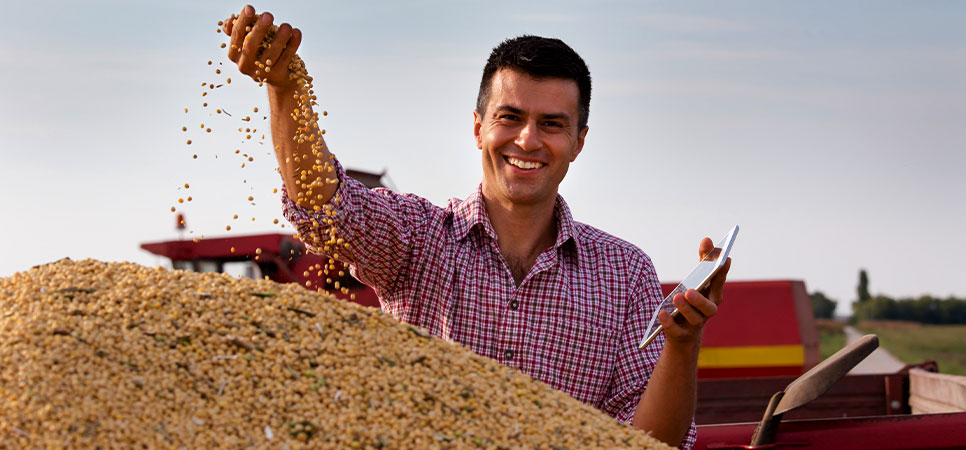 Produtor rural sorridente com tablet em meio à colheita simboliza os benefícios da transformação digital e agricultura de precisão, essenciais para a competitividade no novo ciclo das commodities em 2025.