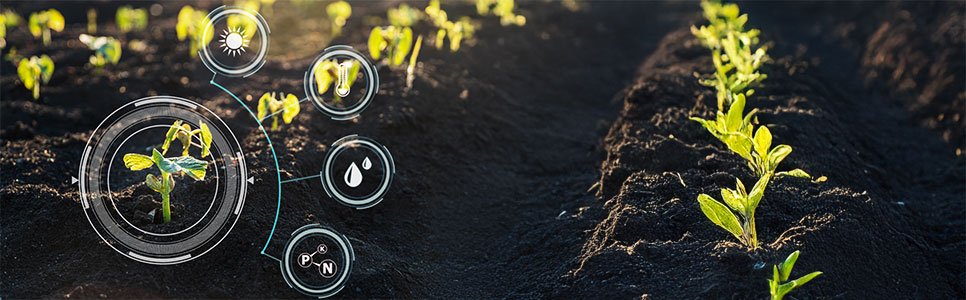 Uso de tecnologias de agricultura de precisão para identificar padrões climáticos locais e prever surtos de pragas, com foco na umidade e doenças fúngicas