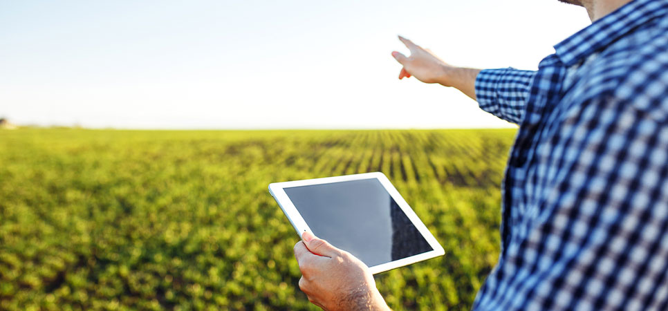 Produtor rural com tablet analisando lavoura e apontando para área de plantio, representando agricultura digital e planejamento de safra