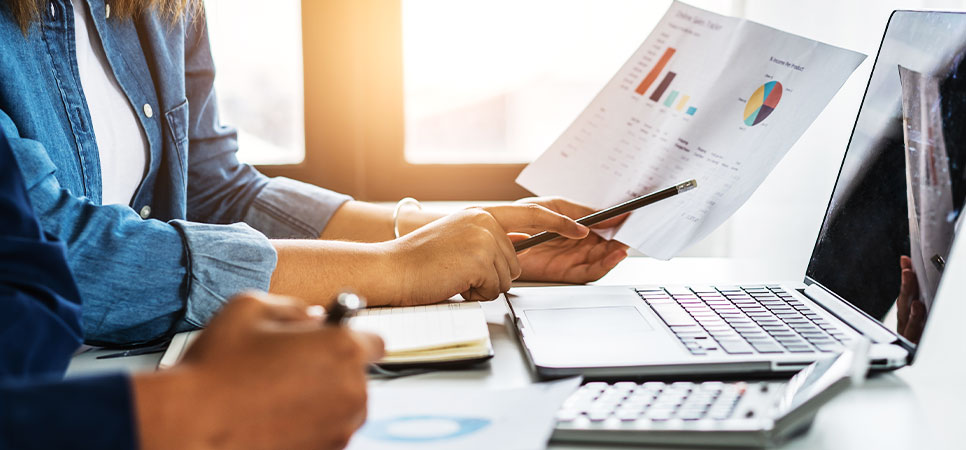 Gestão rural inteligente com relatórios sob medida: exporte para Excel e organize dados de forma prática